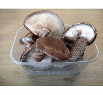 Shiitake grybai, 500g